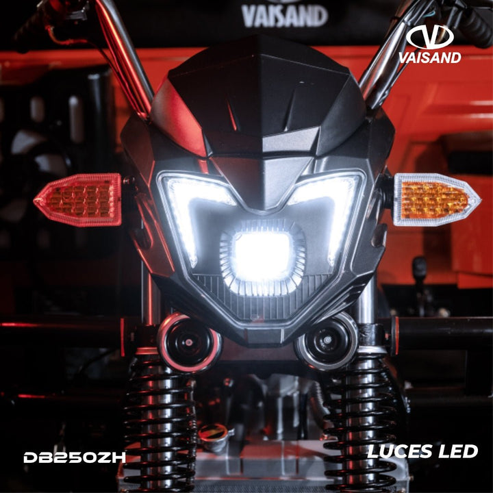 Primer plano del nuevo tablero digital del motocarro Vaisand DB250ZH 2026, indicando la velocidad y el estado del vehículo para una conducción segura