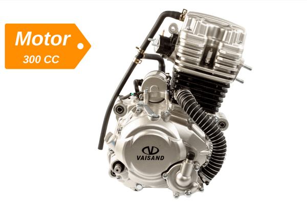Cotor Completo Vaisand 300